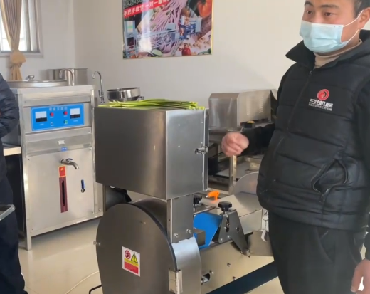 切菜機(jī)切菜效果